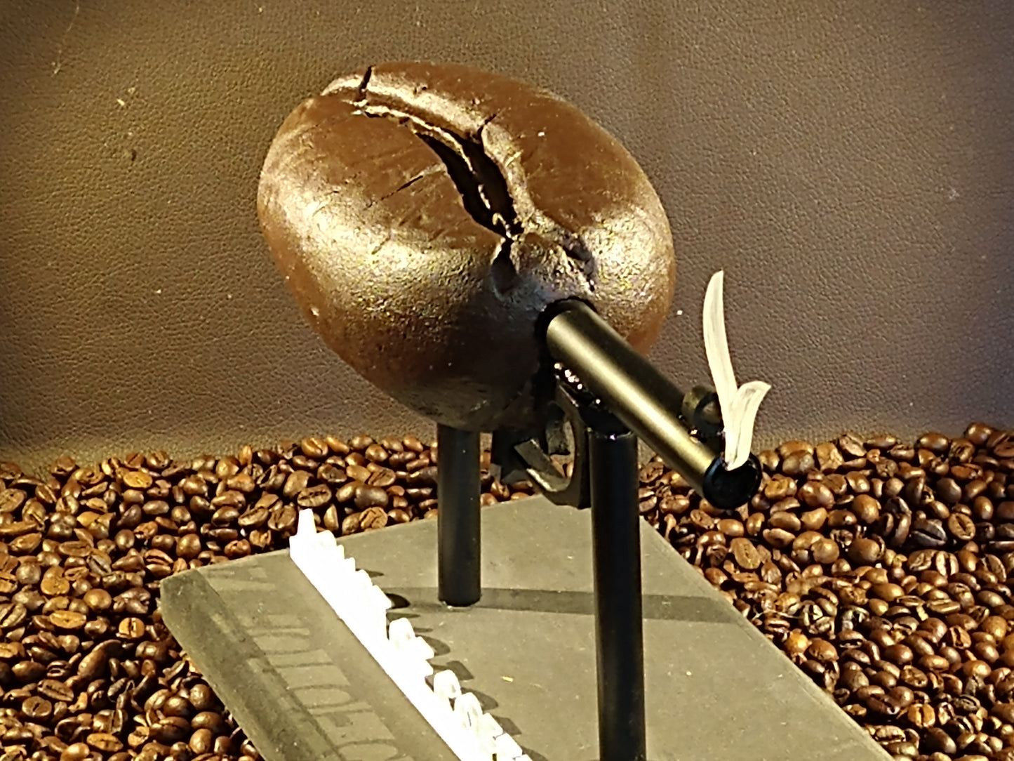Coffee Beans Art "A Coffee Shot" sculpture